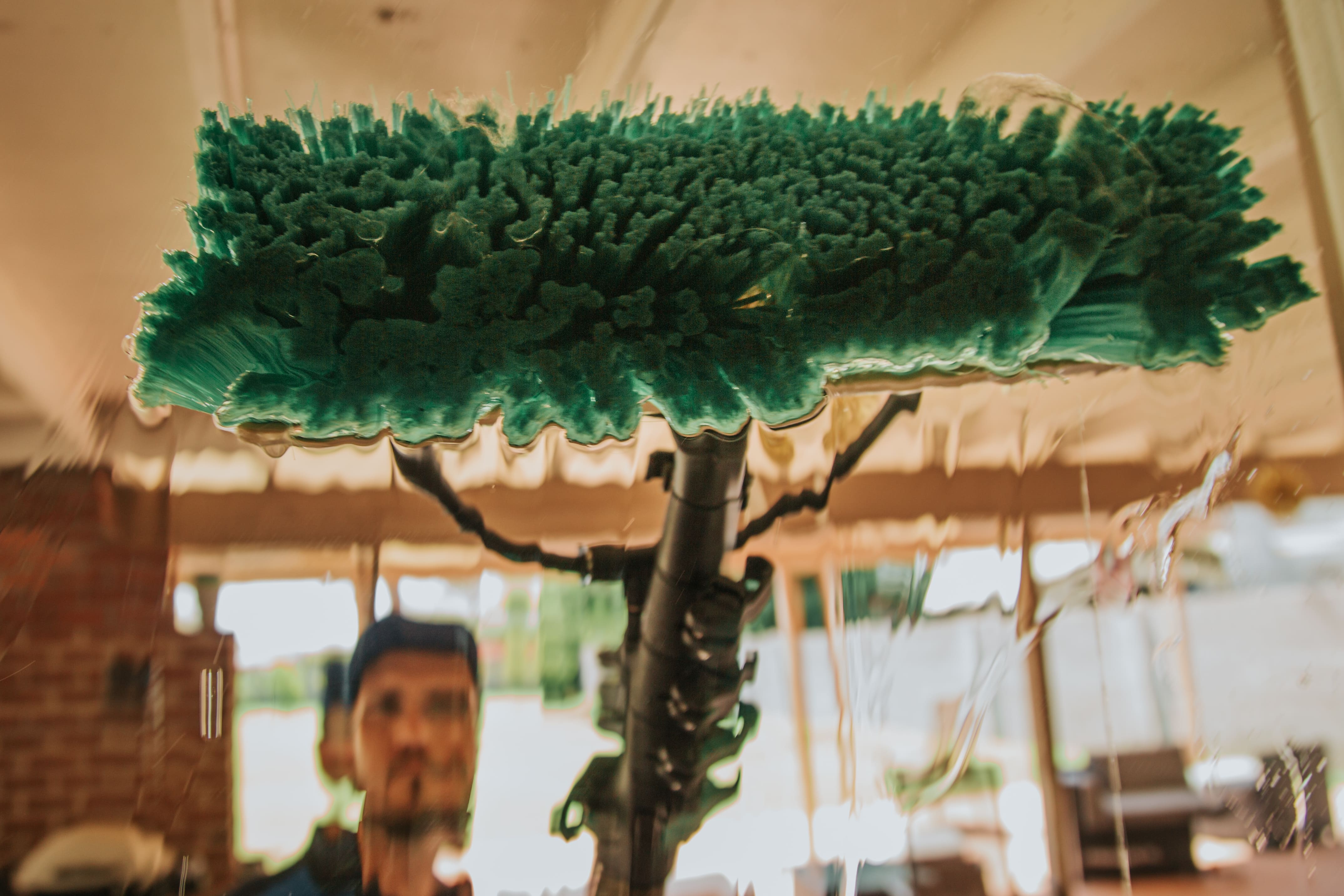 Window Cleaning